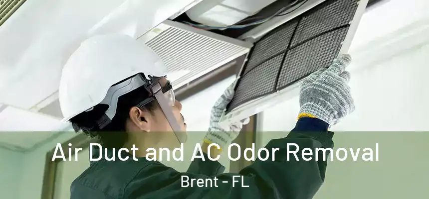 Air Duct and AC Odor Removal Brent - FL