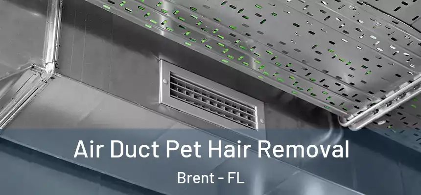 Air Duct Pet Hair Removal Brent - FL