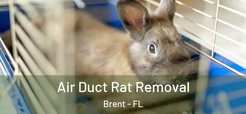 Air Duct Rat Removal Brent - FL