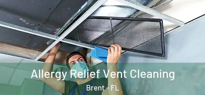 Allergy Relief Vent Cleaning Brent - FL