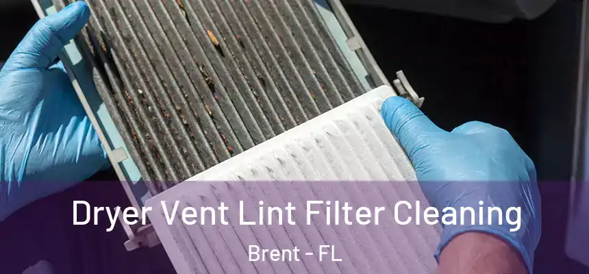 Dryer Vent Lint Filter Cleaning Brent - FL