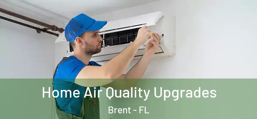 Home Air Quality Upgrades Brent - FL