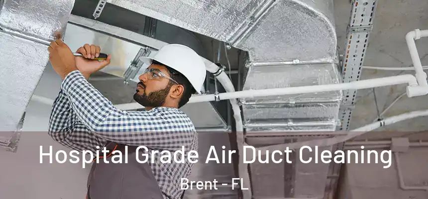 Hospital Grade Air Duct Cleaning Brent - FL