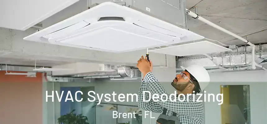 HVAC System Deodorizing Brent - FL
