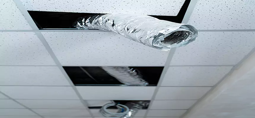 Our Air Duct Pet Hair Removal Services in Brent, FL