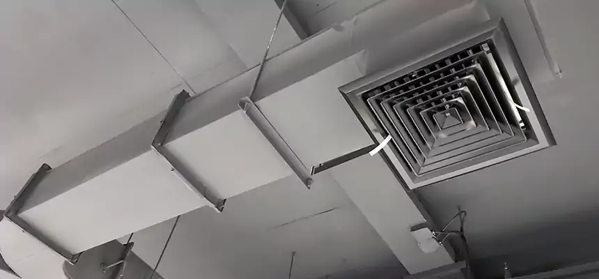 Restorative Allergy Relief Vent Cleaning – Coil, Blower & Housing Detail in Brent