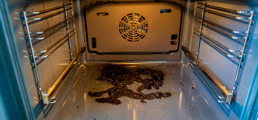 Our Dryer Vent Mold Cleaning Services in Brent, FL