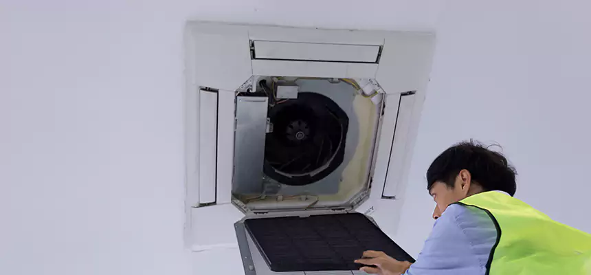 Our Dryer Vent Sanitization Service Services in Brent, FL