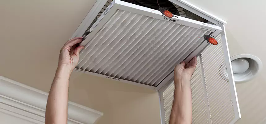 Our Insect Removal from Air Ducts Services in Brent, FL