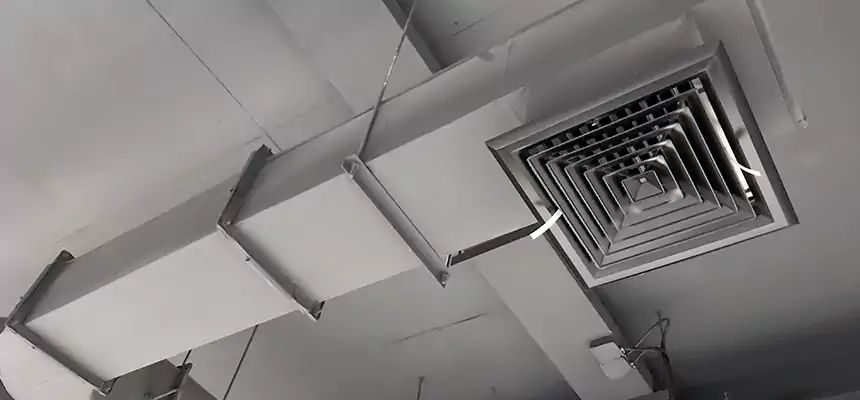 Our Pest Removal From Ducts Services in Brent, FL