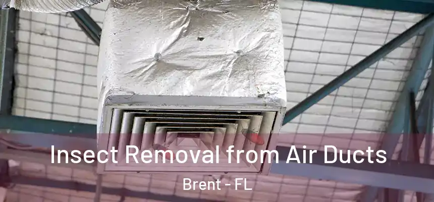 Insect Removal from Air Ducts Brent - FL