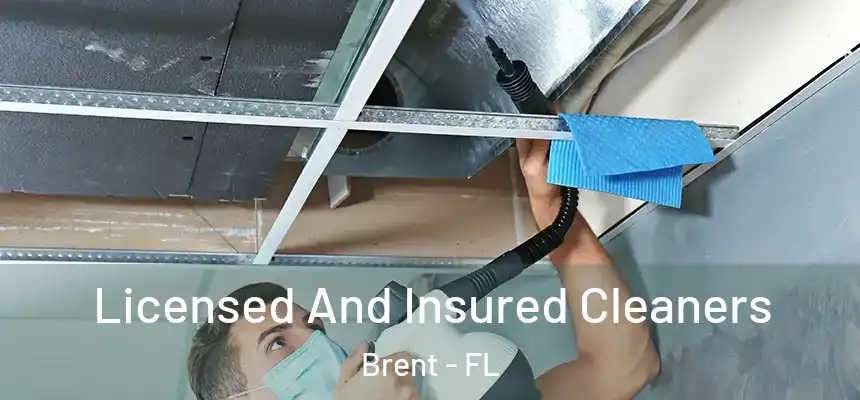 Licensed And Insured Cleaners Brent - FL