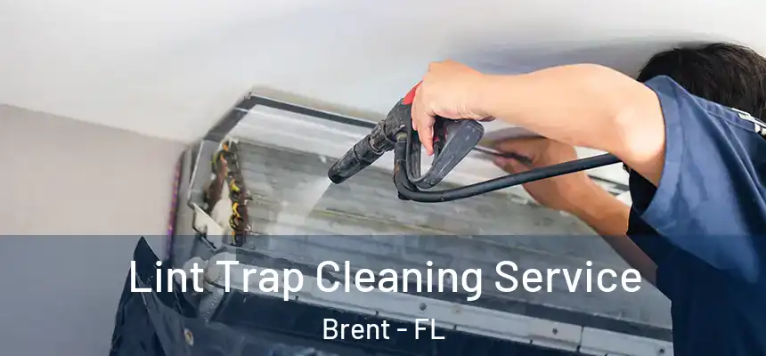 Lint Trap Cleaning Service Brent - FL