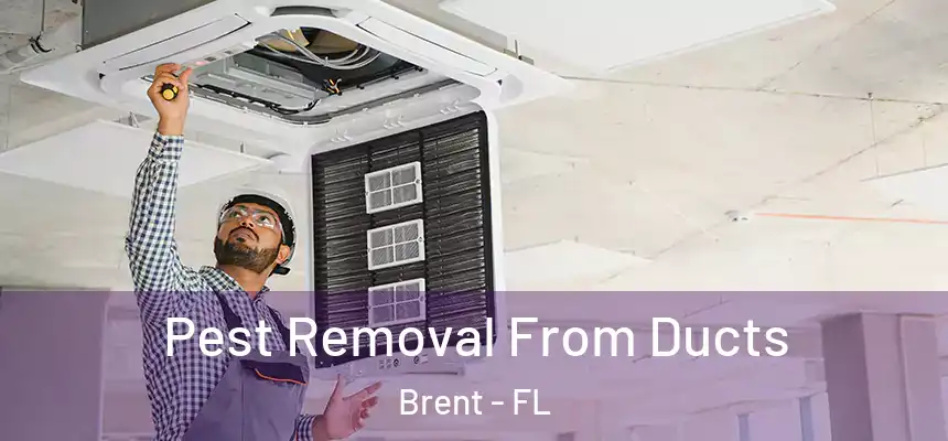 Pest Removal From Ducts Brent - FL