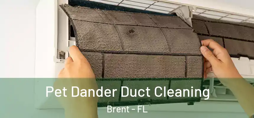 Pet Dander Duct Cleaning Brent - FL