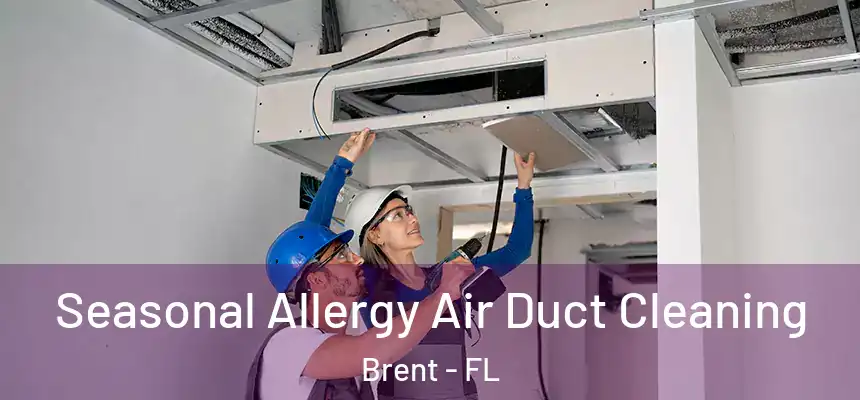 Seasonal Allergy Air Duct Cleaning Brent - FL