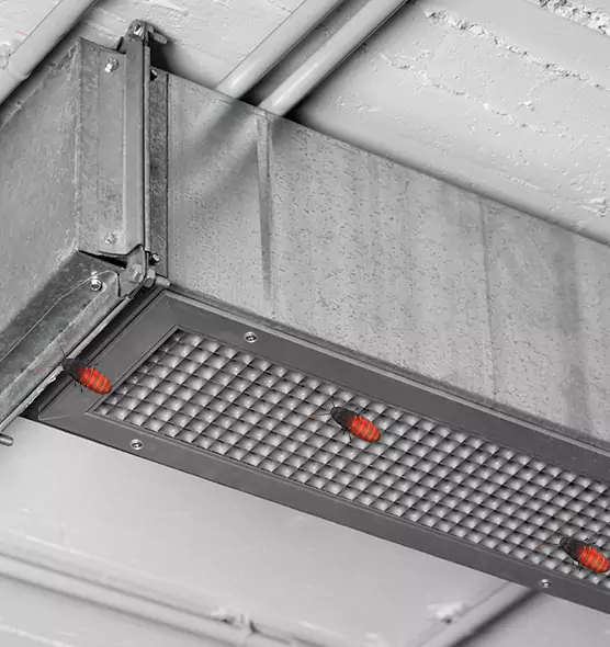 Affordable Insect Removal from Air Ducts in Brent, FL