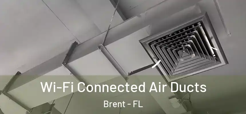 Wi-Fi Connected Air Ducts Brent - FL